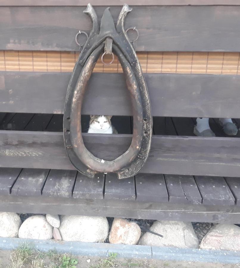 Gapkowo Villa Stare Kiejkuty Bagian luar foto