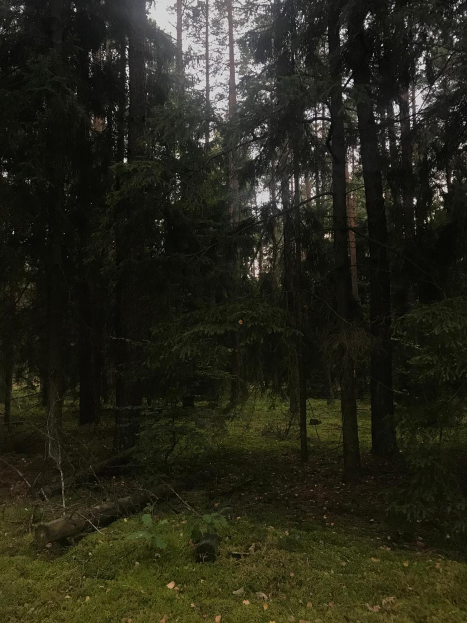 Gapkowo Villa Stare Kiejkuty Bagian luar foto