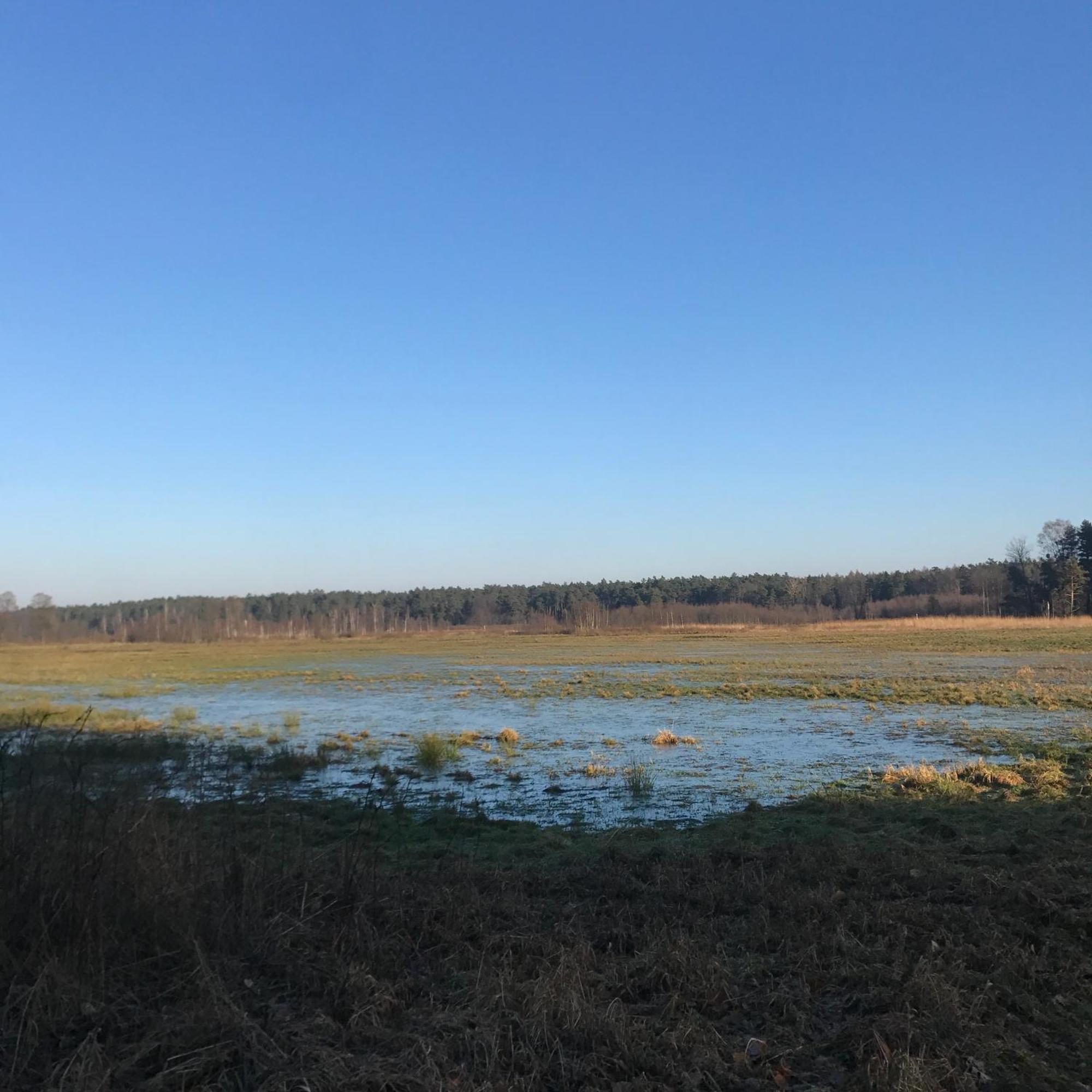 Gapkowo Villa Stare Kiejkuty Bagian luar foto