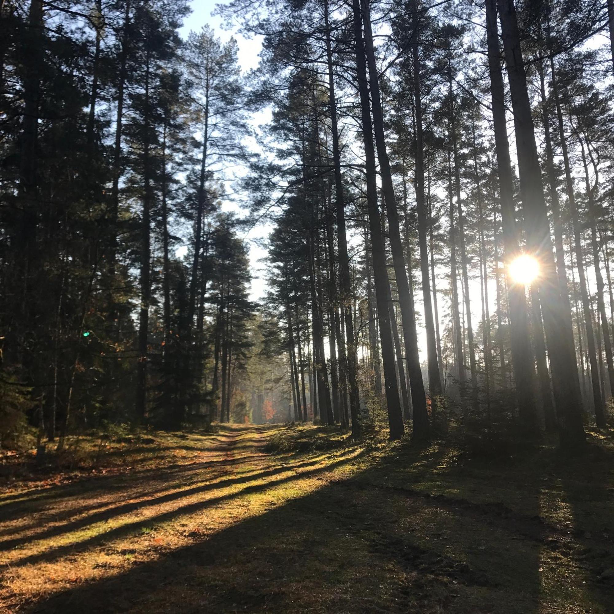Gapkowo Villa Stare Kiejkuty Bagian luar foto